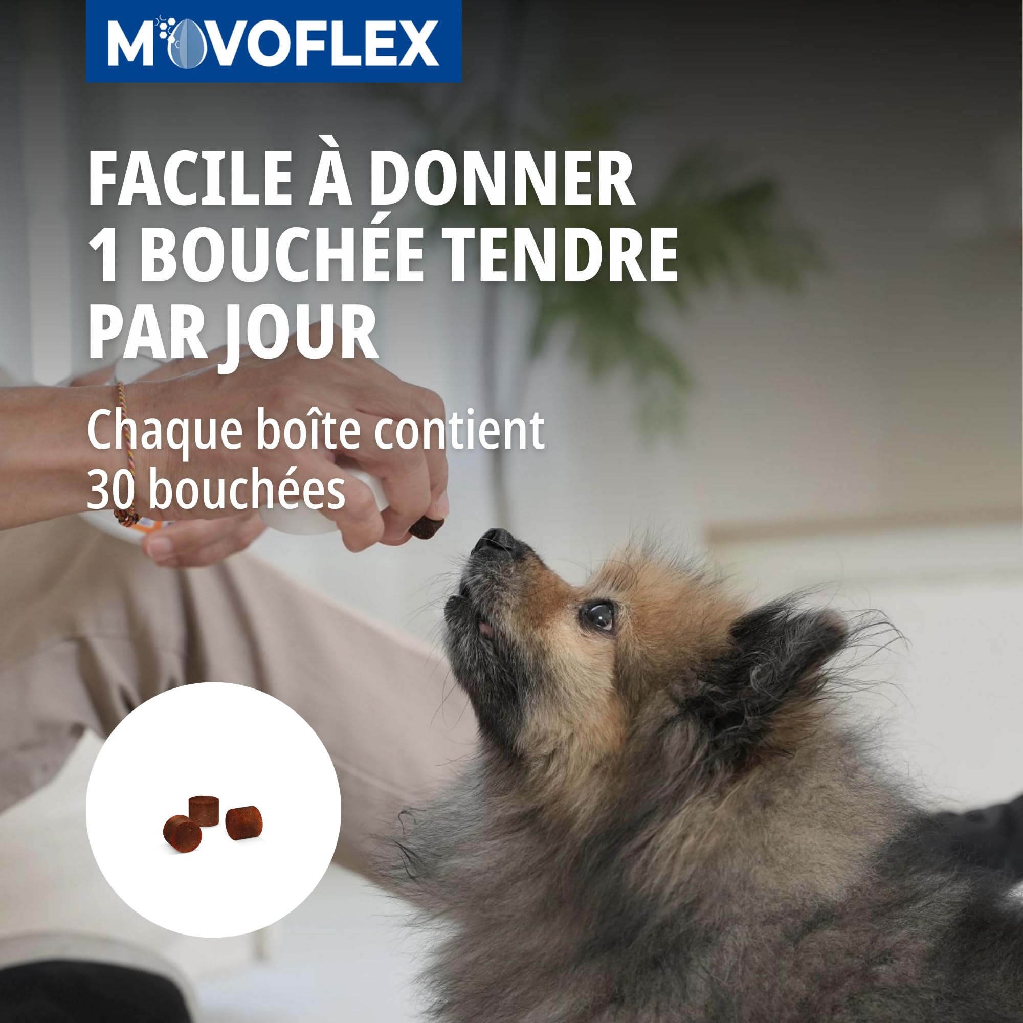 Virbac Movoflex Chien S Aliment complémentaire pour Le Soutien des articulations et de la mobilité – Petits Chiens de Moins de 15 kg – Boîte de 30 bouchées