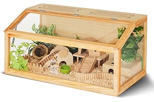 Polar Aurora Hamster House, Your Buddies' Comfortable and Cozy Suites