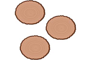 Fun Express Wood Slice Bulletin Board Cutouts