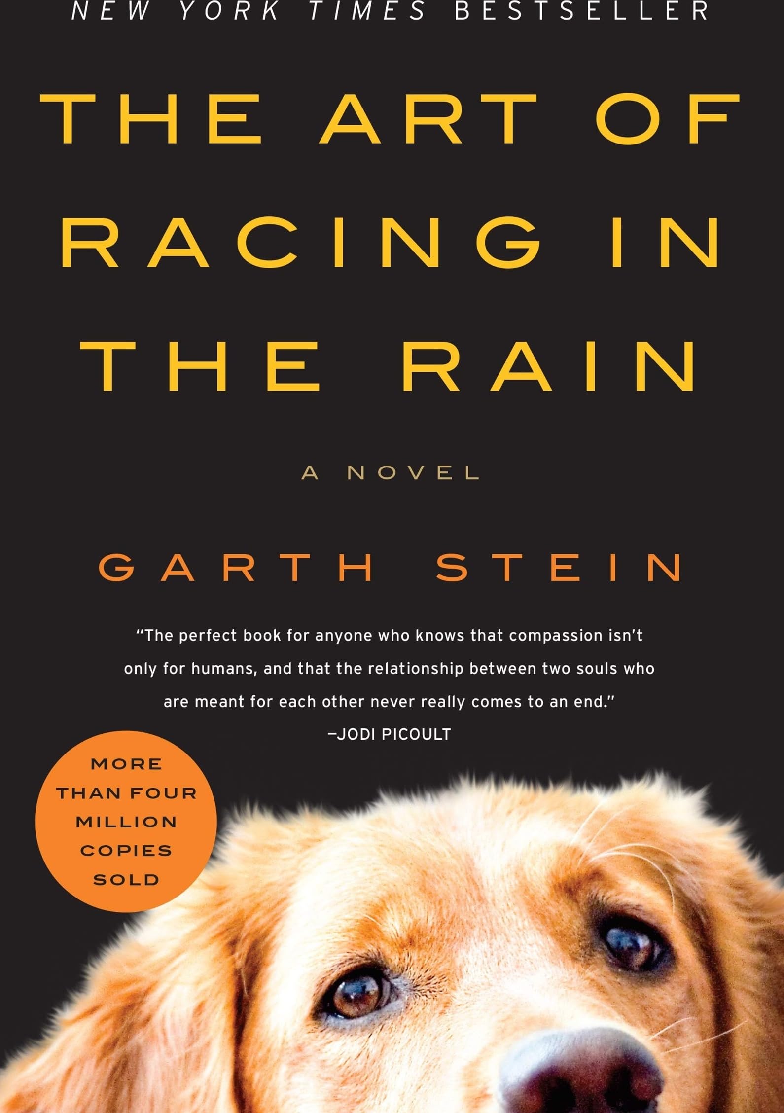 The Art of Racing in the Rain