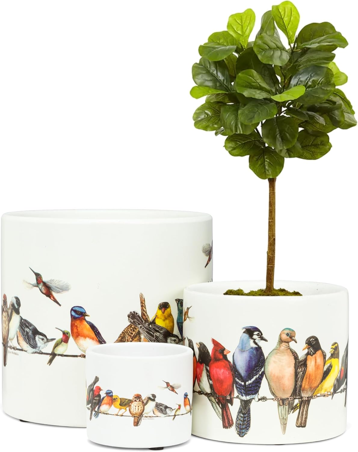 Abbott Collection 27-PARADE/085 LG Planter, 1 EA, Birds on Wire, Large