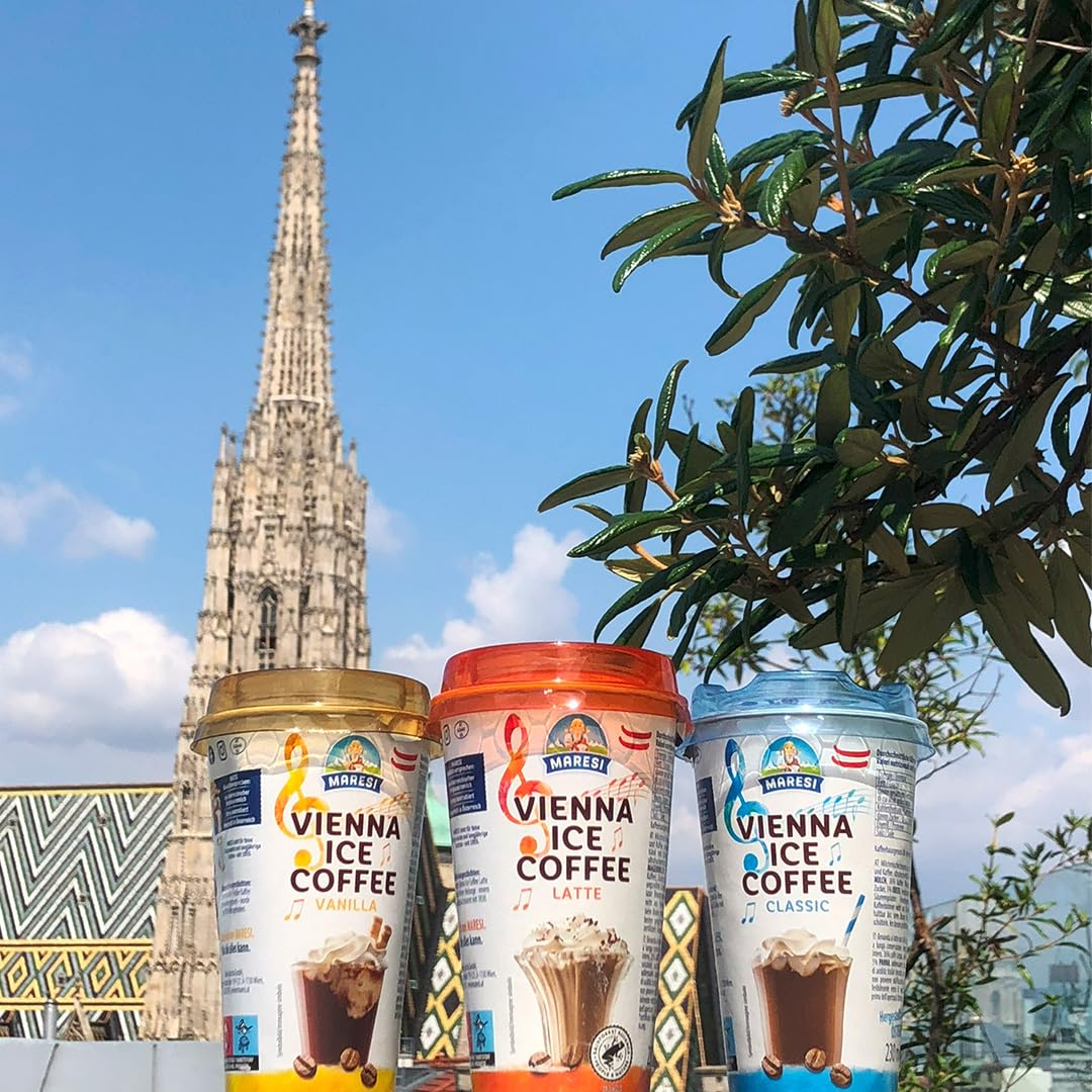 Offrez-vous des saveurs riches avec le café glacé MAR VIC Premium 230 ml/10 –Café Frappe, Café Froid et Café Glacé, Cold Brew Coffee Parfait Pour Toutes Les Occasions(10 Pack - 230 ml, Classic)