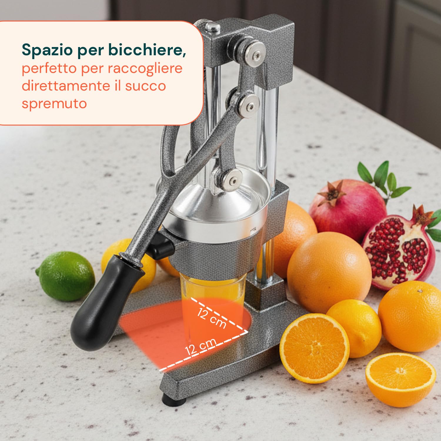Avilia - Spremiagrumi Professionale a Leva in Ghisa con Filtro Inox 304 Spremiagrumi Manuale per Arance e Limoni con Pressione Potente Uso Domestico e Bar Struttura Ultra Resistente