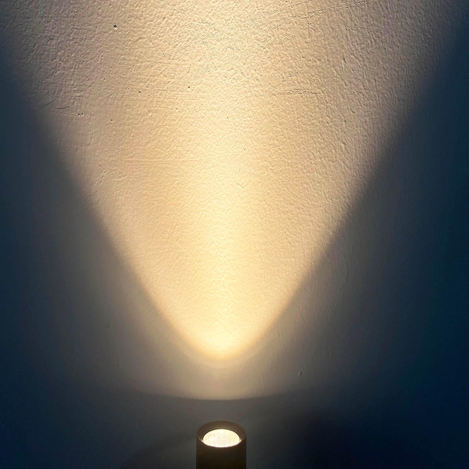 Monsing LED Spotlichter Schranklicht Bilderlichter Akzentlichter Wandlampe mit Schalter und Stecker 5W 3000K Dimm-Timing kabelloser Controller Uplit-Bodenstrahler,Pflanzenbild, Kunstwerk(Warm White)