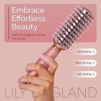 Amazon.com : Lily England Vented Hair Brush for Blow Drying - Easy