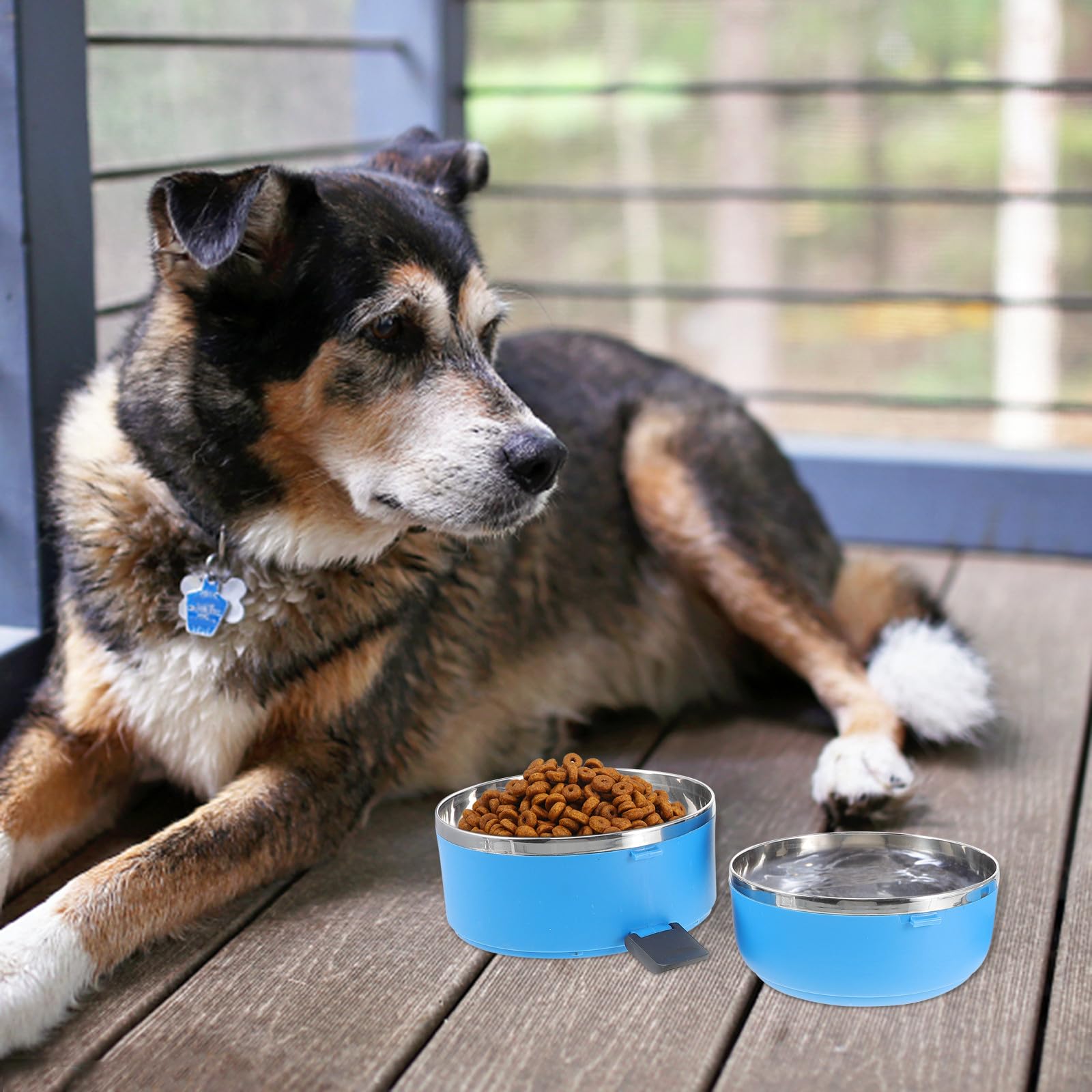 Toyvian Gamelle pour Chien en Acier Inoxydable Double Compartiment Anti-déversement 1400 ML Bleu pour Voyage Camping Plein Air Utilisateurs Animaux de Compagnie