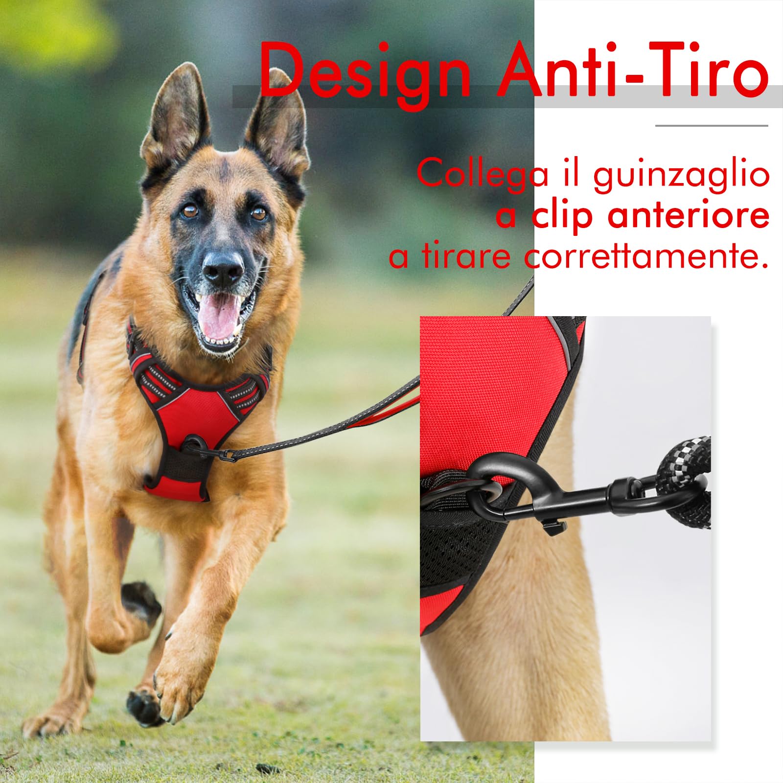 rabbitgoo Pettorina Cane Taglia Piccola, Pettorina Cane ad h Regolabile con 2 Ganci in Metallo, Pettorina per Cani Anti Tiro Riflettente, Imbracatura Cani Traspirante per Addestramento Corsa(S, Rosso)