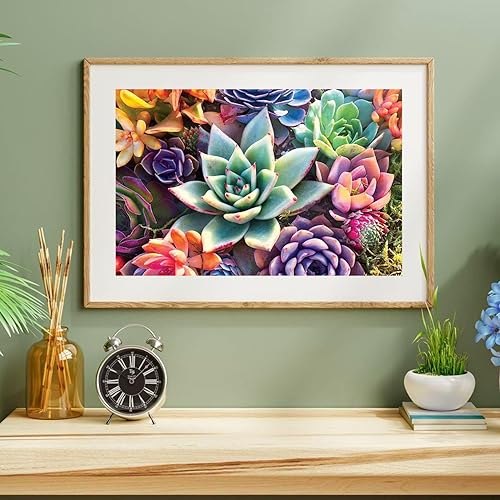 Miniatura 4 de Aestalrcus Pintura por números grande para adultos, suculenta acrílica para adultos, kits de pintura por números sobre lienzo, 16 x 24 pulgadas,