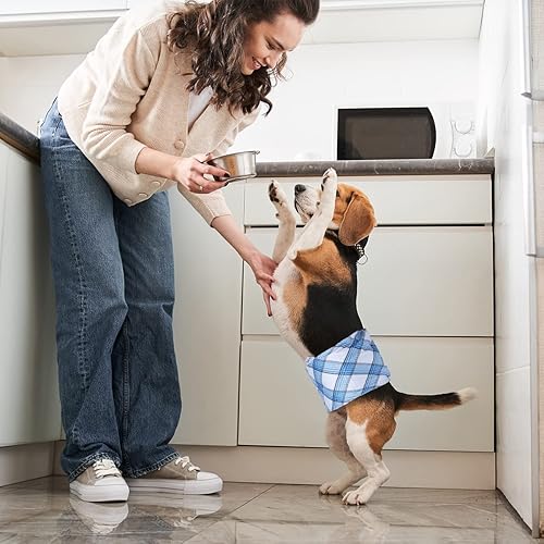 Miniatura 6 de Pet Soft Bandas para el vientre para perros, pañales lavables para perros machos, reutilizables, paquete de 3 para cachorros (cuadros azules, M)