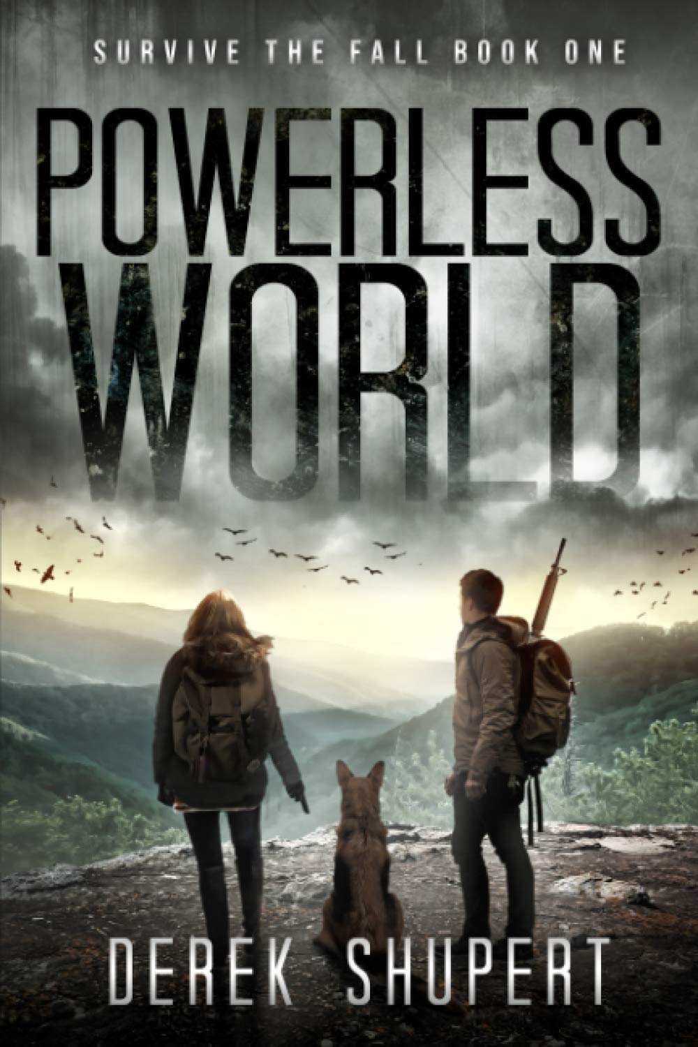 Powerless World: 1 (Survive the Fall)