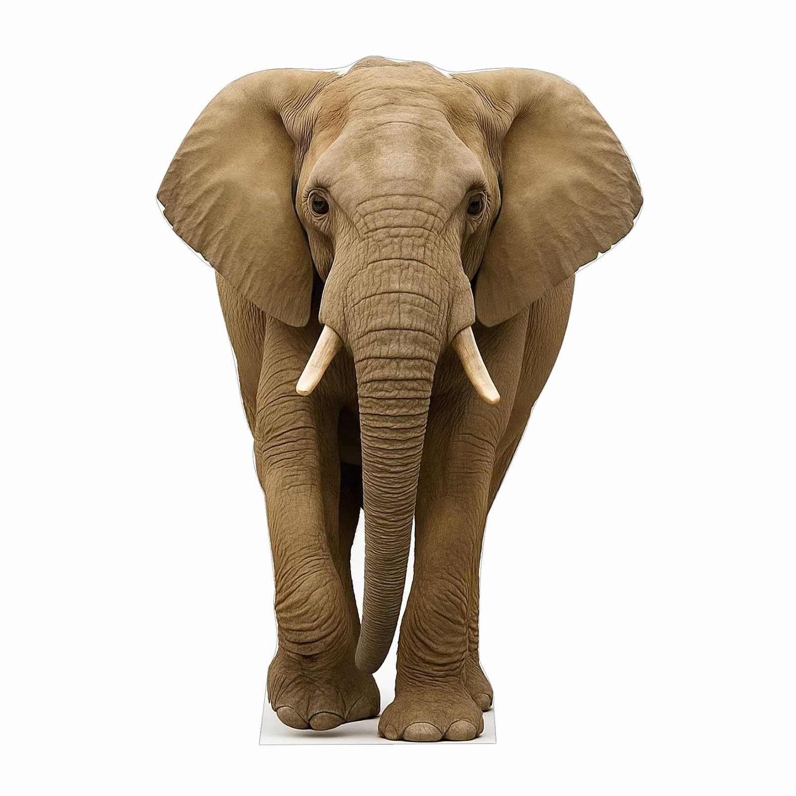 Elephant 4FT Life Size Cardboard Cutout – A Fun Animal Standup for Photo Booths, Birthday Parties, and Events