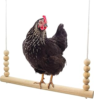 Backyard Barnyard Chicken Swing Handmade in USA!!! ! Toy for Coop (Round Bar) Natural Safe Large Wood Perch Ladder for Poultry Run Rooster Hens Chicks Pet Parrots Pollo Stress Relief for Birds