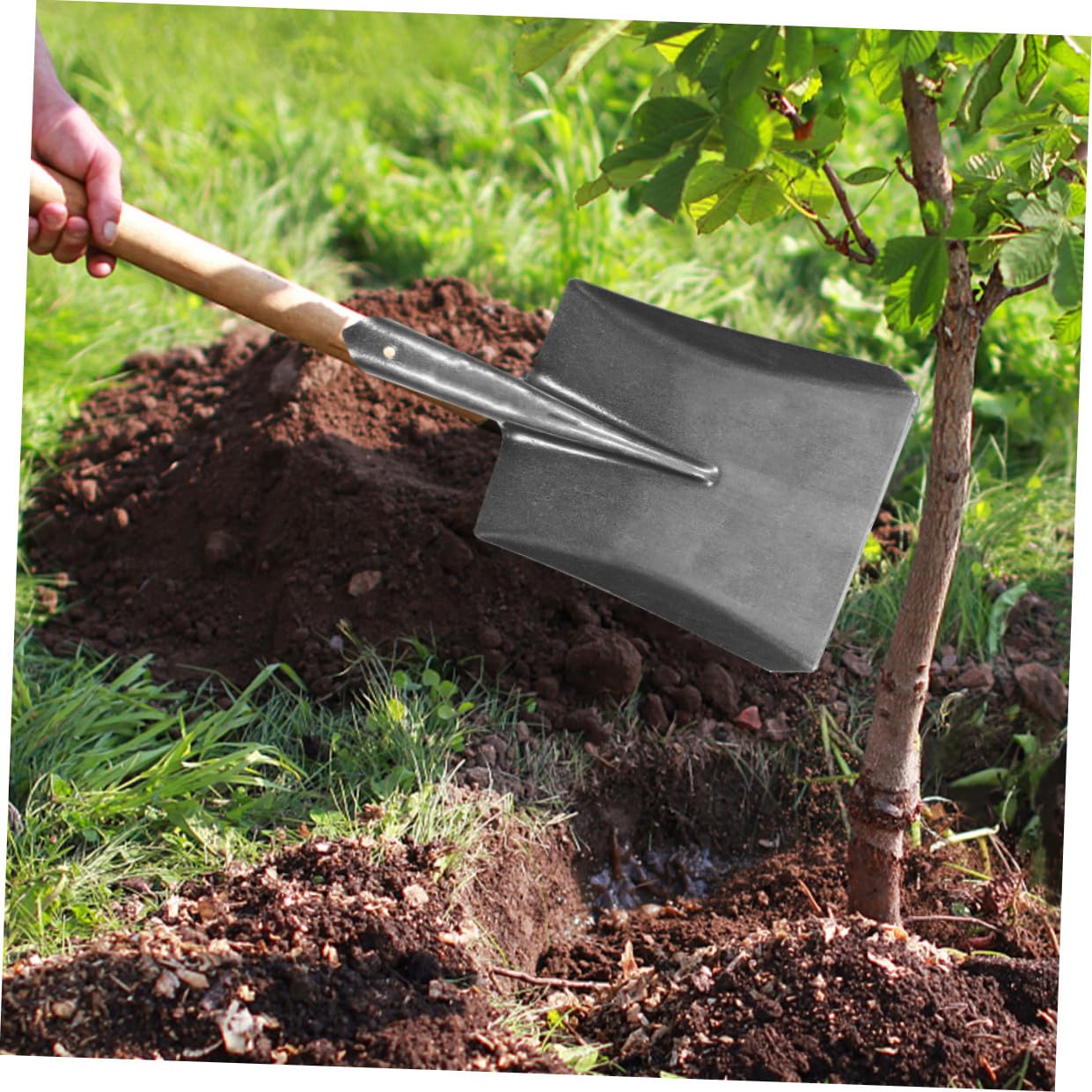 2stücke Gartenschaufel Aus Kohlenstoffstahl Kleine Handschaufel Für Gartenarbeit Multifunktionale Gartenschaufel Ergonomischer Griff Zum Pflanzen Und Lockern