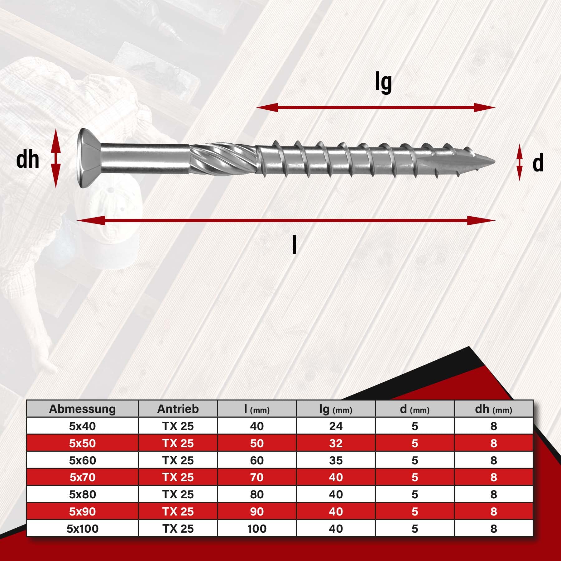 Raccordo a T Inox 5 X 40 viti terrazza C1 in acciaio inox temprato Torx, incluso Wera TX 25 Acciaio Inossidabile Bit, Terassen viti, Terrazza vite AISI 410 martensitisch