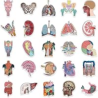 Vista 6 de Anatomy Pun Stickers Human Anatomy Sticker Water Bottle Stickers for Teens Waterproof Vinyl(50Pcs)