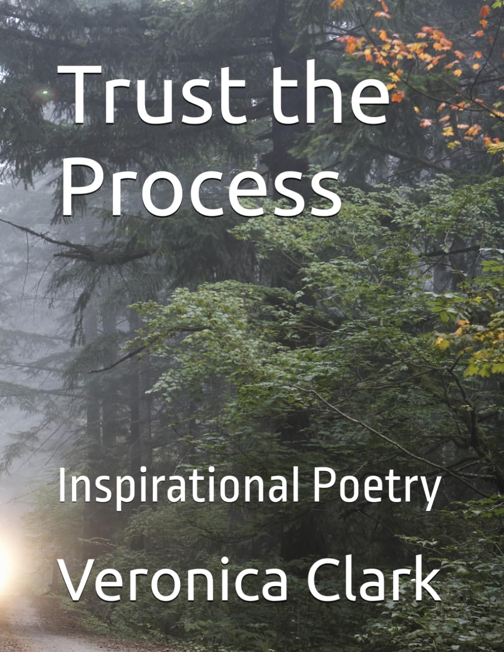 Trust the Process: Inspirational Poetry