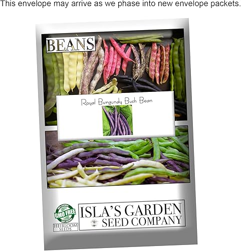 Miniatura 8 de Semillas de frijol Royal Burgundy Bush para plantar, 30 semillas tradicionales por paquete, semillas de jardín de Isla (semillas de jardín de Isla),