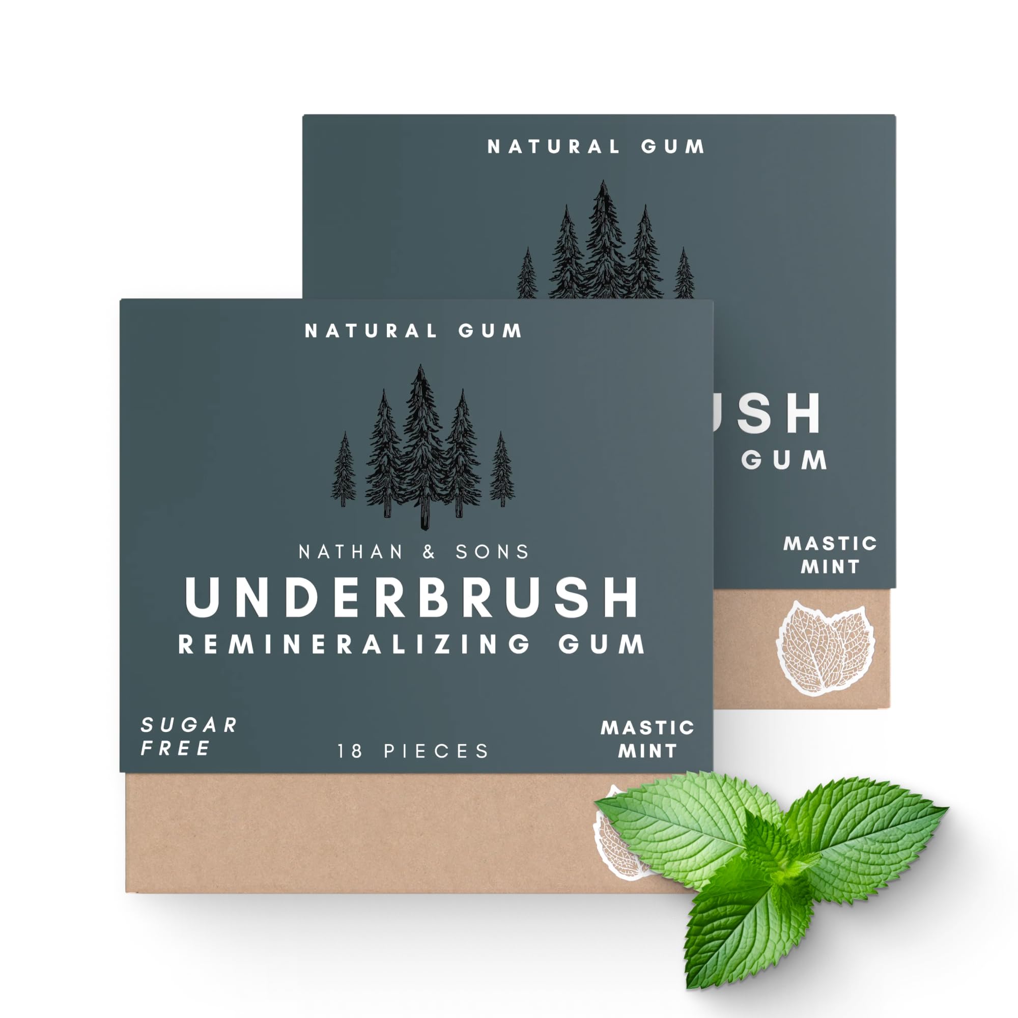 Underbrush Mastic Mint Remineralizing Gum, Sugar Free Xylitol Gum With Hydroxyapatite, Supports Fresh Breath and Oral Health, Tree Sap Base, Gluten Free, No Sucralose or Aspartame, 2 Pack