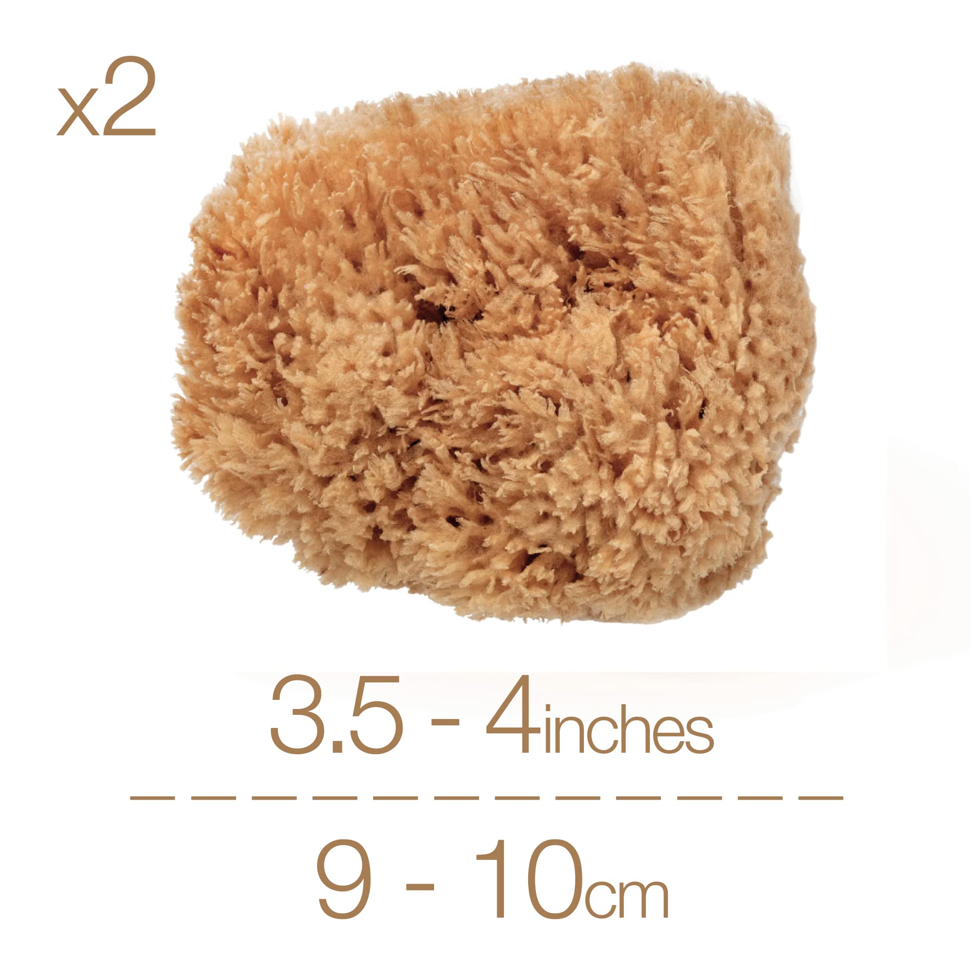 2x Esponjas De Mar Exfoliantes BabyCare. Para La Piel Más Sensible y Delicada. Esponjas Naturales Sin Blanquear, Cosechadas De Forma Sostenible En Embalaje Libre De Plástico