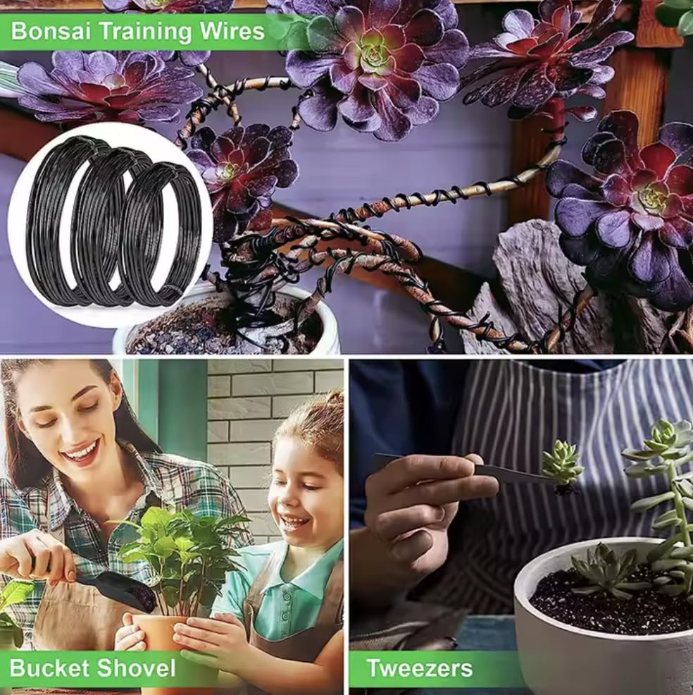 SeedsAlp Ensemble d'outils pour bonsaï, 24 pièces, kit de transplantation de plantes avec sac de rangement pour jardin robuste