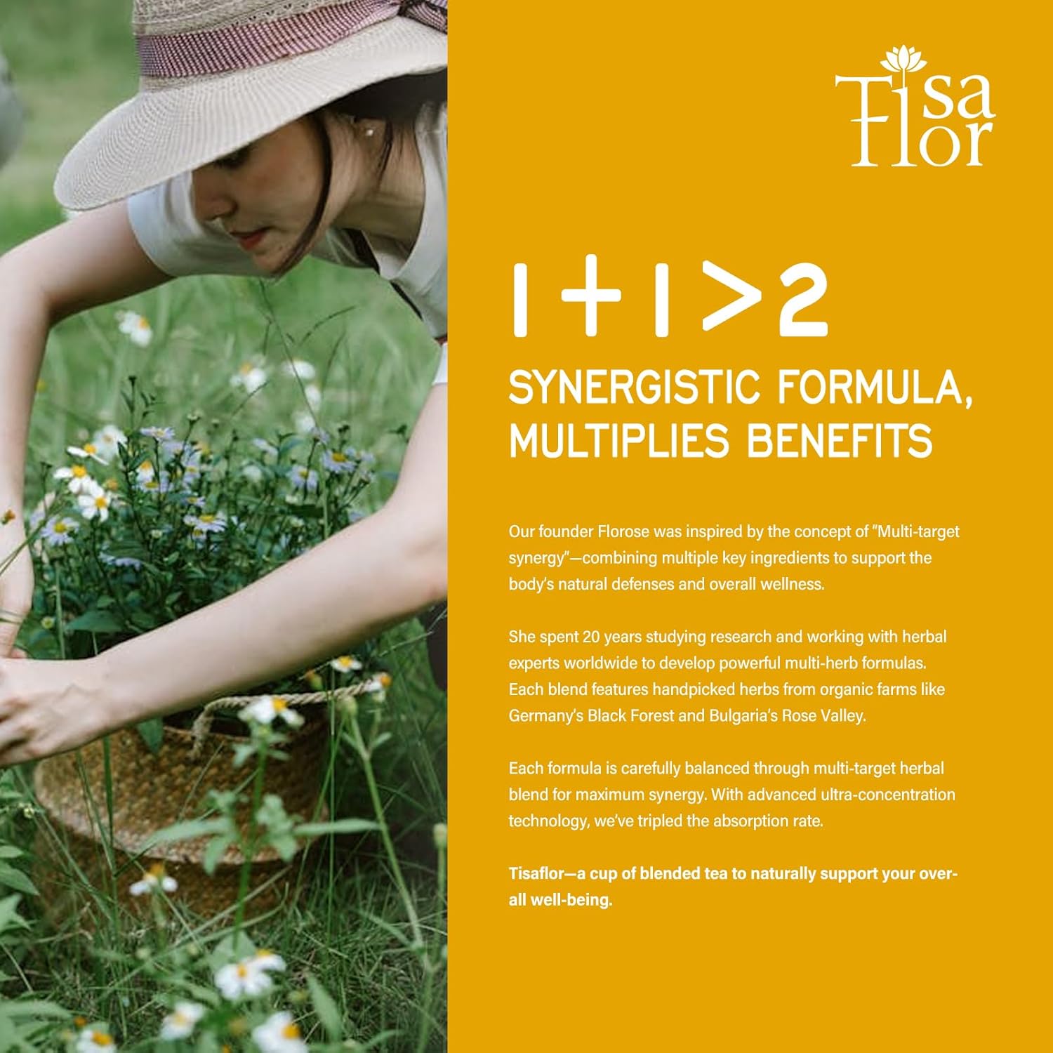 TisaFlor Roasted Dandelion Root Tea Bags for Liver Detox Cleanse, Digestion & Immunity, 7-in-1 Herbal Tea with Burdock Licorice Corn Silk - Te de Diente de Leon, 50 Bags -Naturally Caffeine-Free. - Image 8