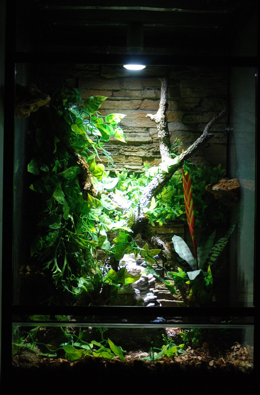 Lucky Reptile LED Sun Flood 6,5 Watt - Lampe LED pour Douille E27 - Lampe pour Terrarium avec Une Puissance Lumineuse impressionnante - pour Terrarium - Eclairage du Terrarium 1 pc
