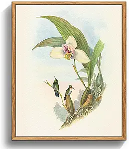crmotu Bird Framed Wall Art, Hummingbird Daffodil Vintage Canvas Prints, Animal Botanical Nature Wall Decor, Floral Retro Rustic Kitchen Decorations Wall Pictures for Bedroom Desktop, 9x11inch