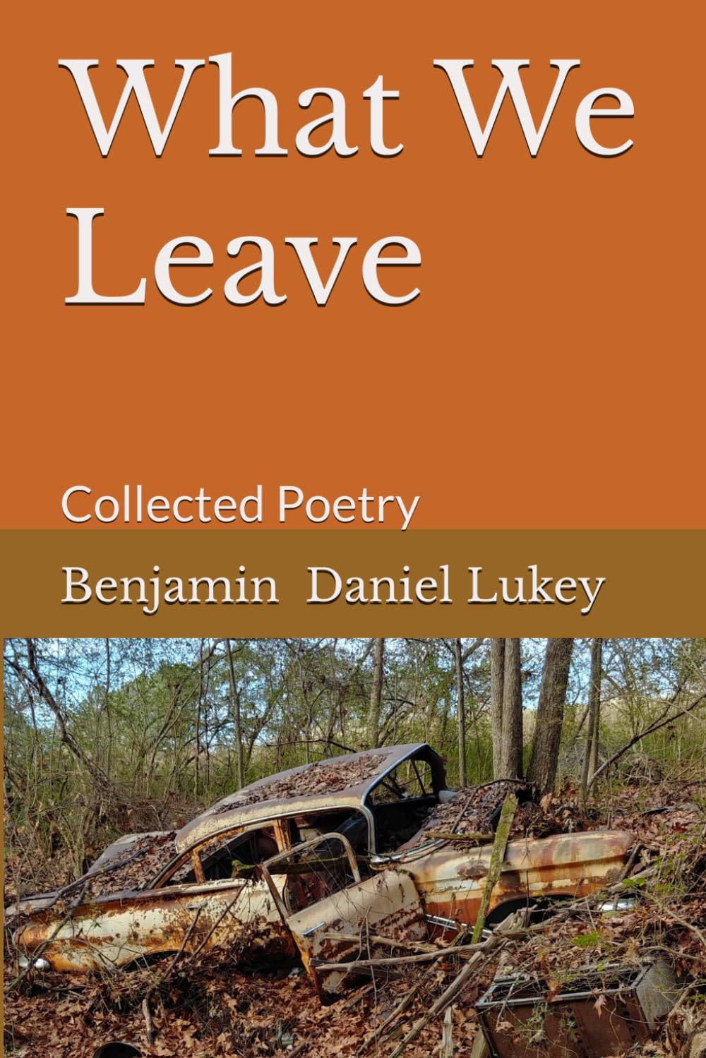 What We Leave: Collected Poetry