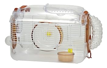 Amazon | 三晃商会 SANKO ルックルック フォーチュンG ブラウン