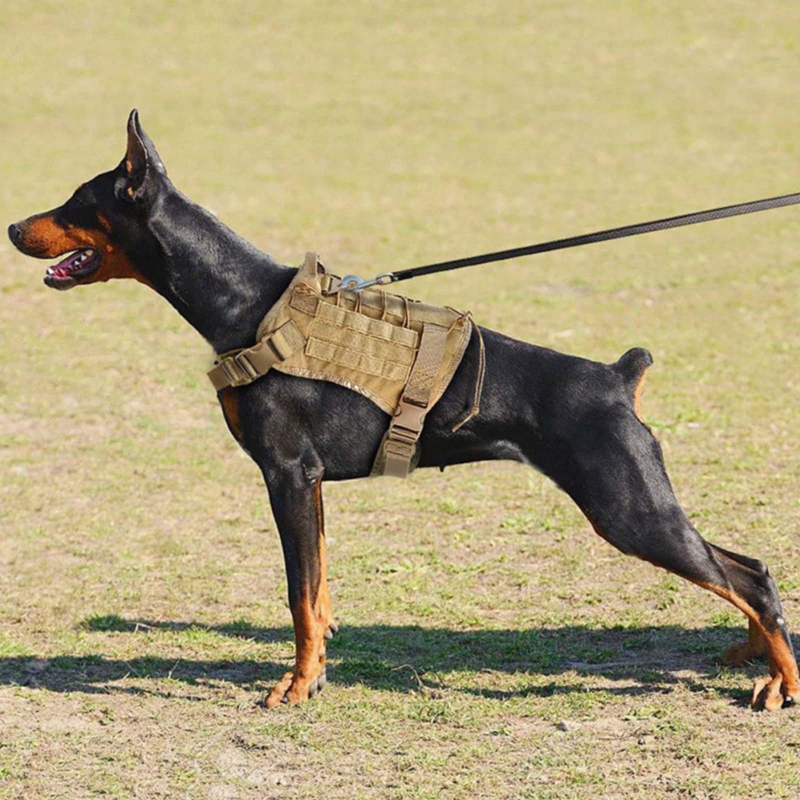 Pettorina Militare Tattica + Guinzaglio Per Cane, Pettorina Tattica Media E Grande Per Cani,Gilet Militare Per Cani Con Maniglie,Per Addestramento Passeggiate E Cani Lavoro,Cp,XL