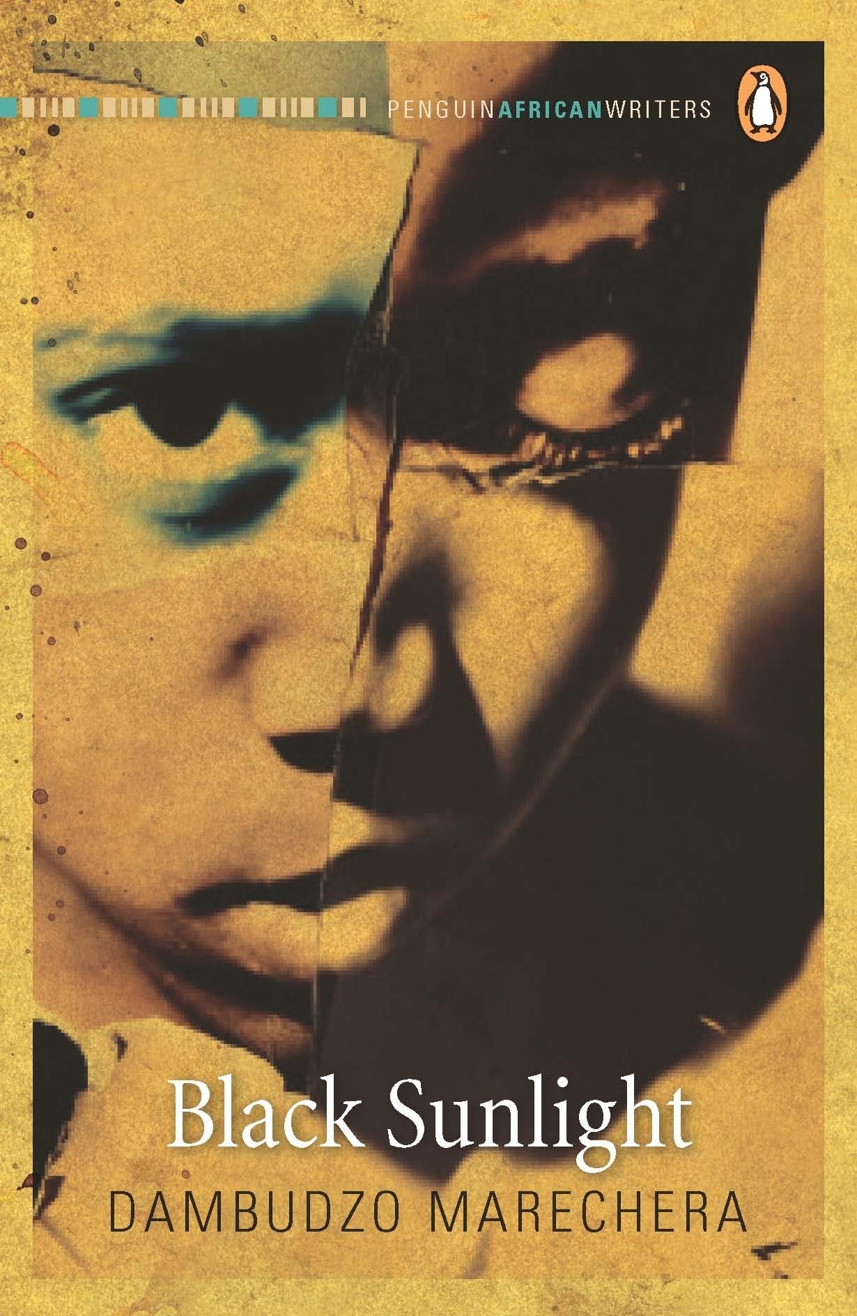 Buy Black Sunlight โ BookShops.in