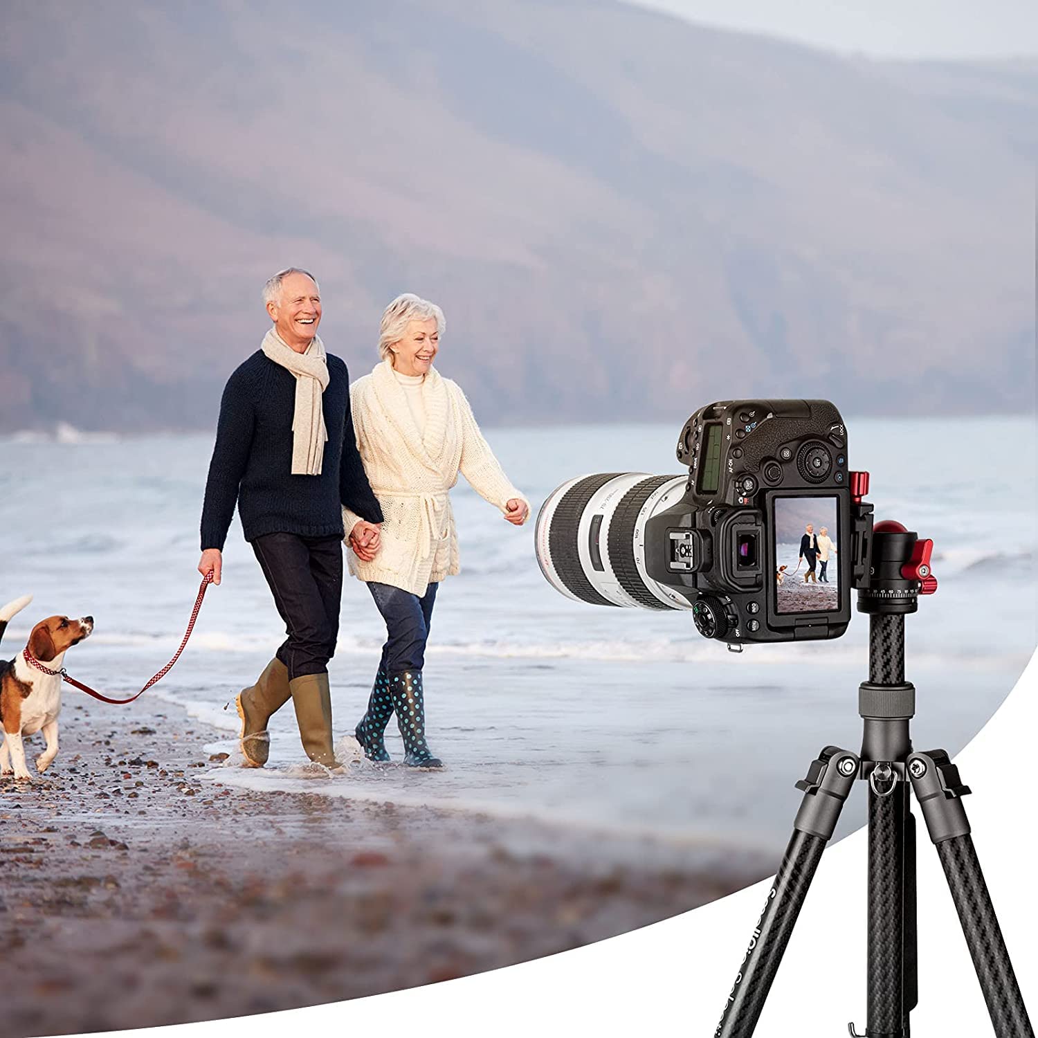 SMALLRIG Głowica kulowa 360° z mocowaniem śrubowym 1/4 cala, aluminiowa mini głowica statywu, udźwig 8 kg, do Canon/do Sony/do Nikon/do Panasonic/DSLR//smartfonów - 3034
