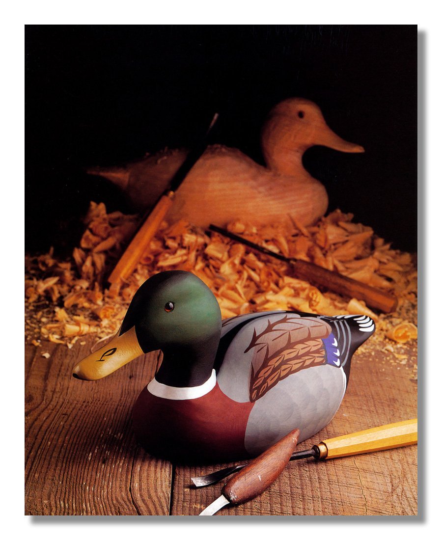 Common Duck イラスト 木製ボード 絵 【公式通販】