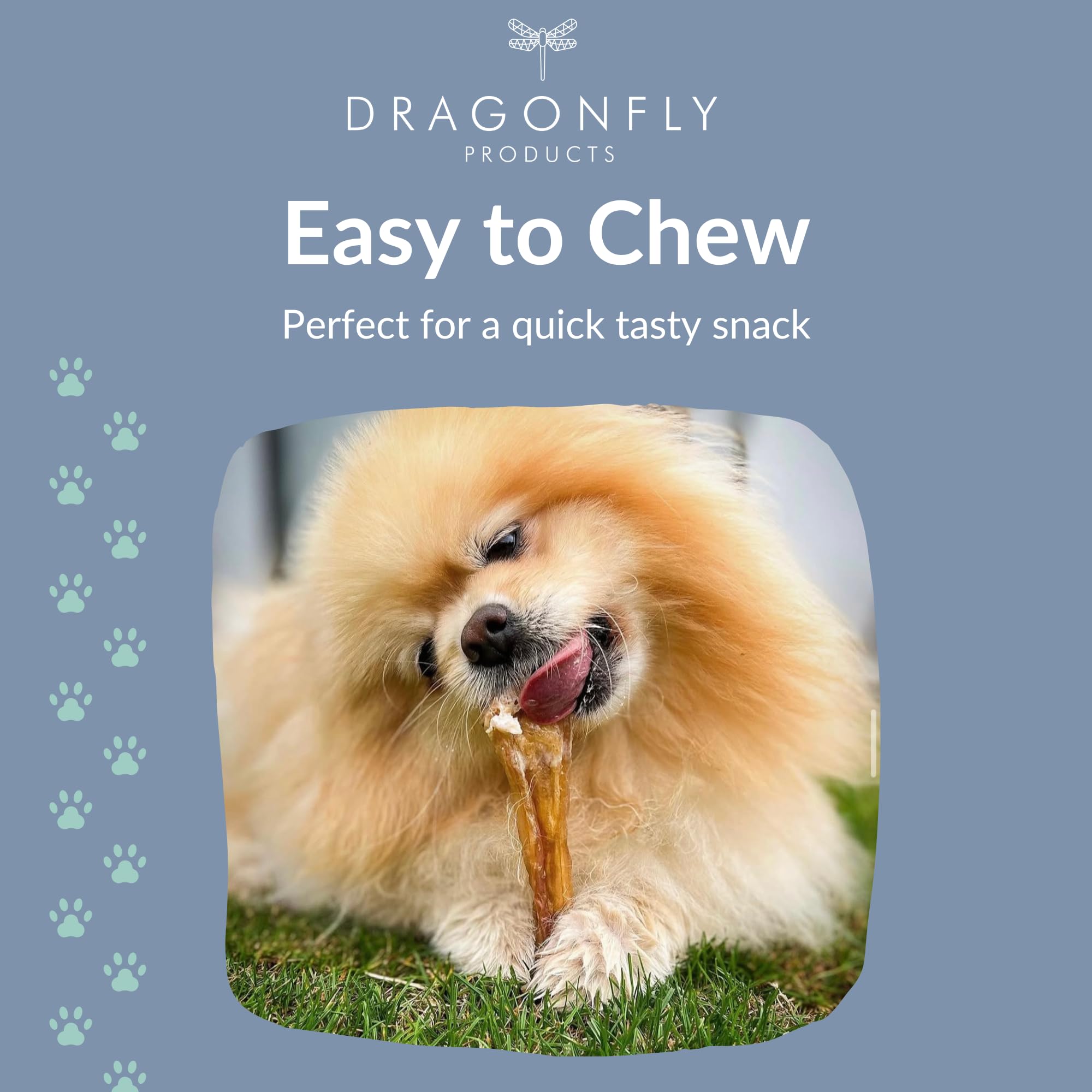 Dragonfly Products, 150 g (Pack of 1) - Image 4