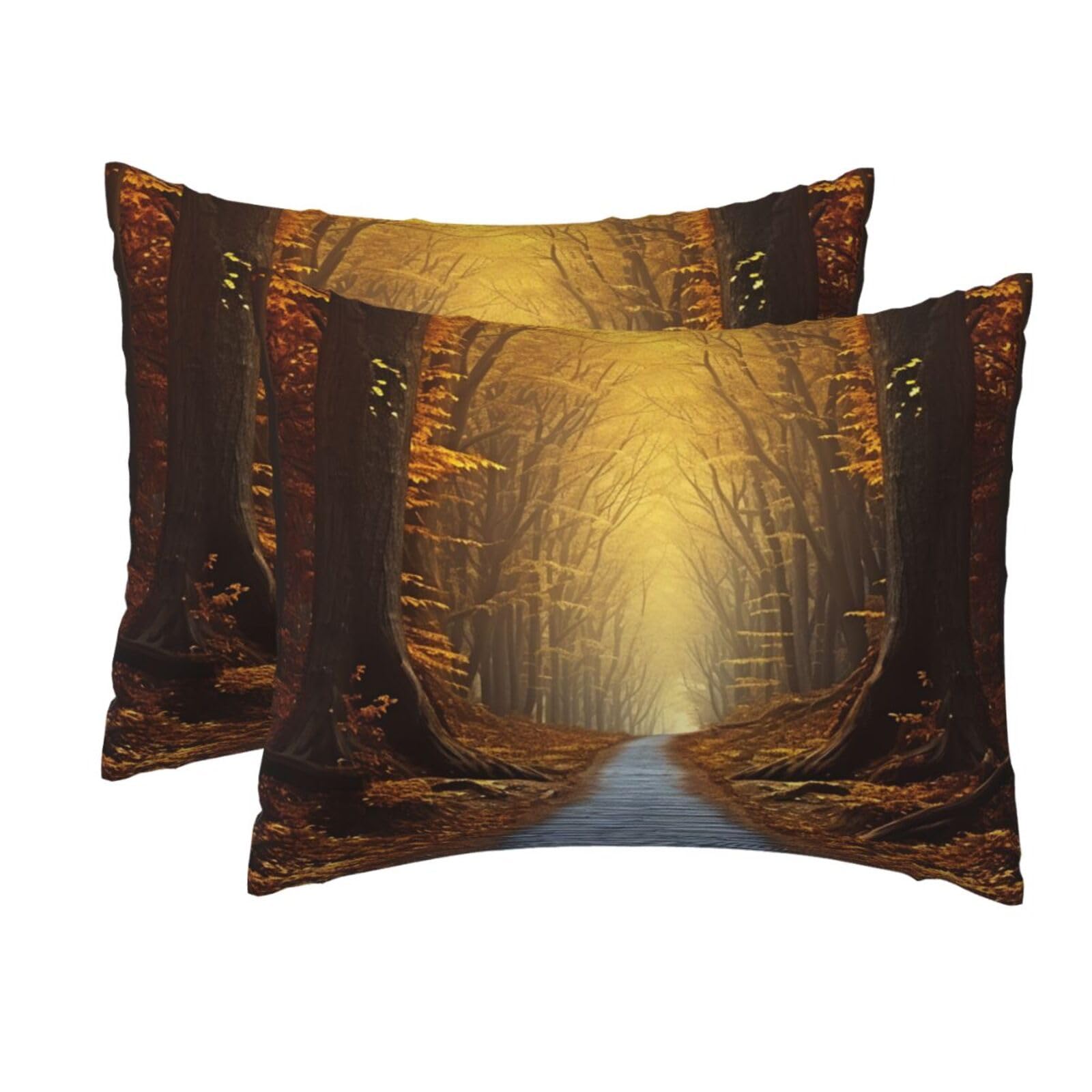 2 Pack Standard Size Pillow Cases for Hair and Skin Soft Breathable Pillow Case Covers with Hidden Zipper Pathway Pillowcase 20x26 Inches Pillow Cover for Sleeping Gift