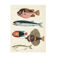 Trademark Fine Art Canvas Wall Art - Louis Renard Renard Tropical Fish IV Wall Art for Living Room