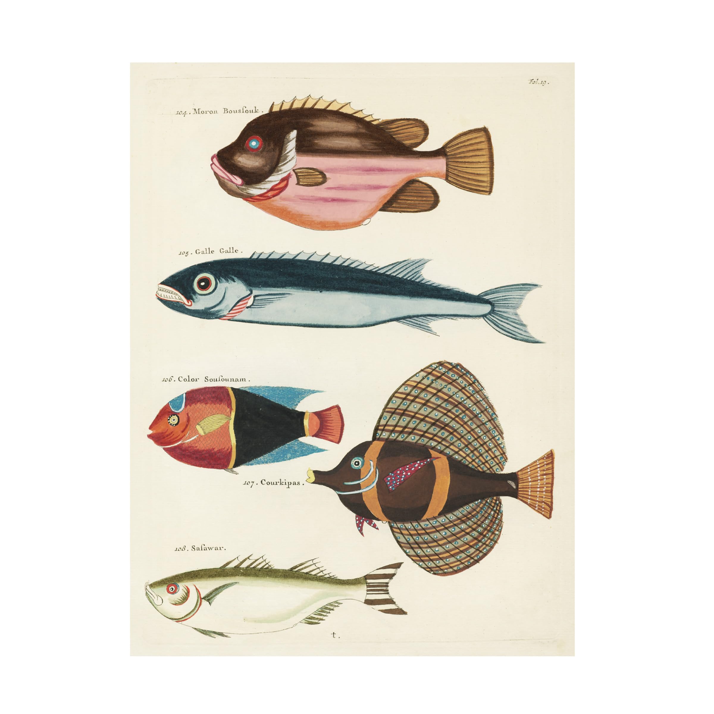 Trademark Fine Art Canvas Wall Art - Louis Renard Renard Tropical Fish IV Wall Art for Living Room