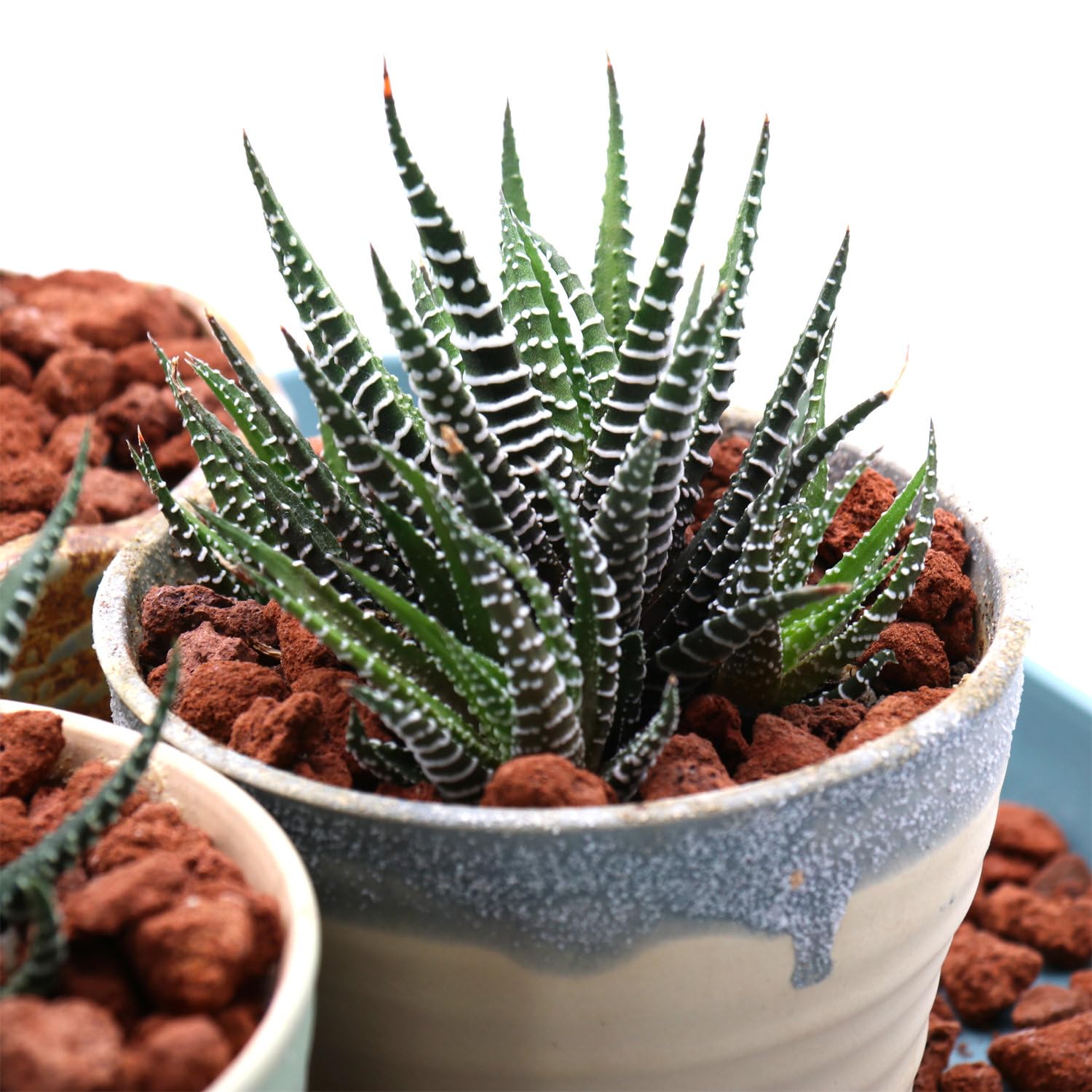 Roca volcánica para plantas. Roca de lava de color rojo. 1/5 pulgadas - 10 libras para macetas suculentas, macetas, plantas, jardinería, interior, manualidades, rellenos de jarrones
