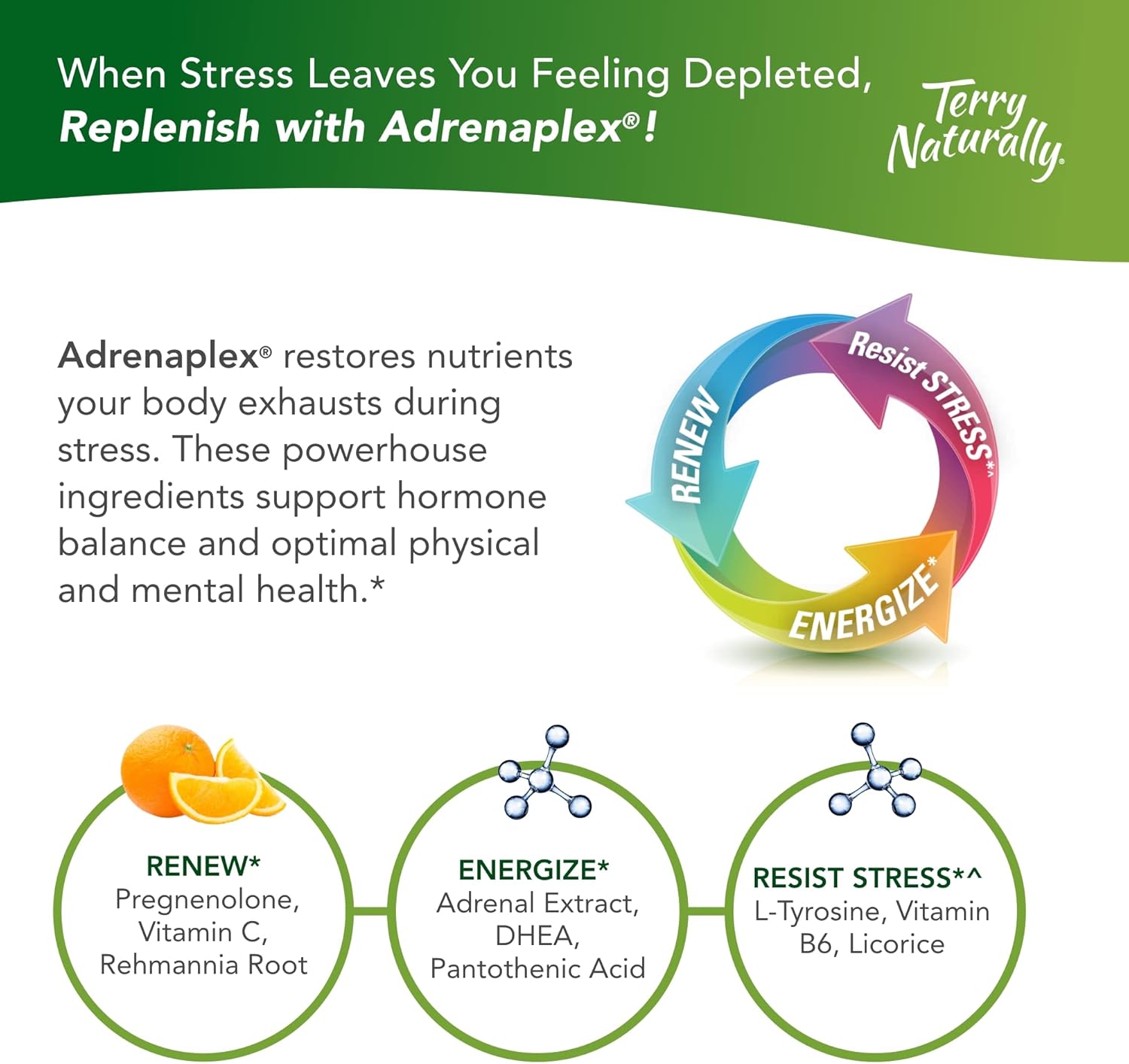 Terry Naturally Adrenaplex - 120 Capsules - Maximum Adrenal Support Supplement, Promotes Daily Energy, Mental Focus & Physical Endurance - Non-GMO, Gluten-Free - 60 Servings : Health & Household