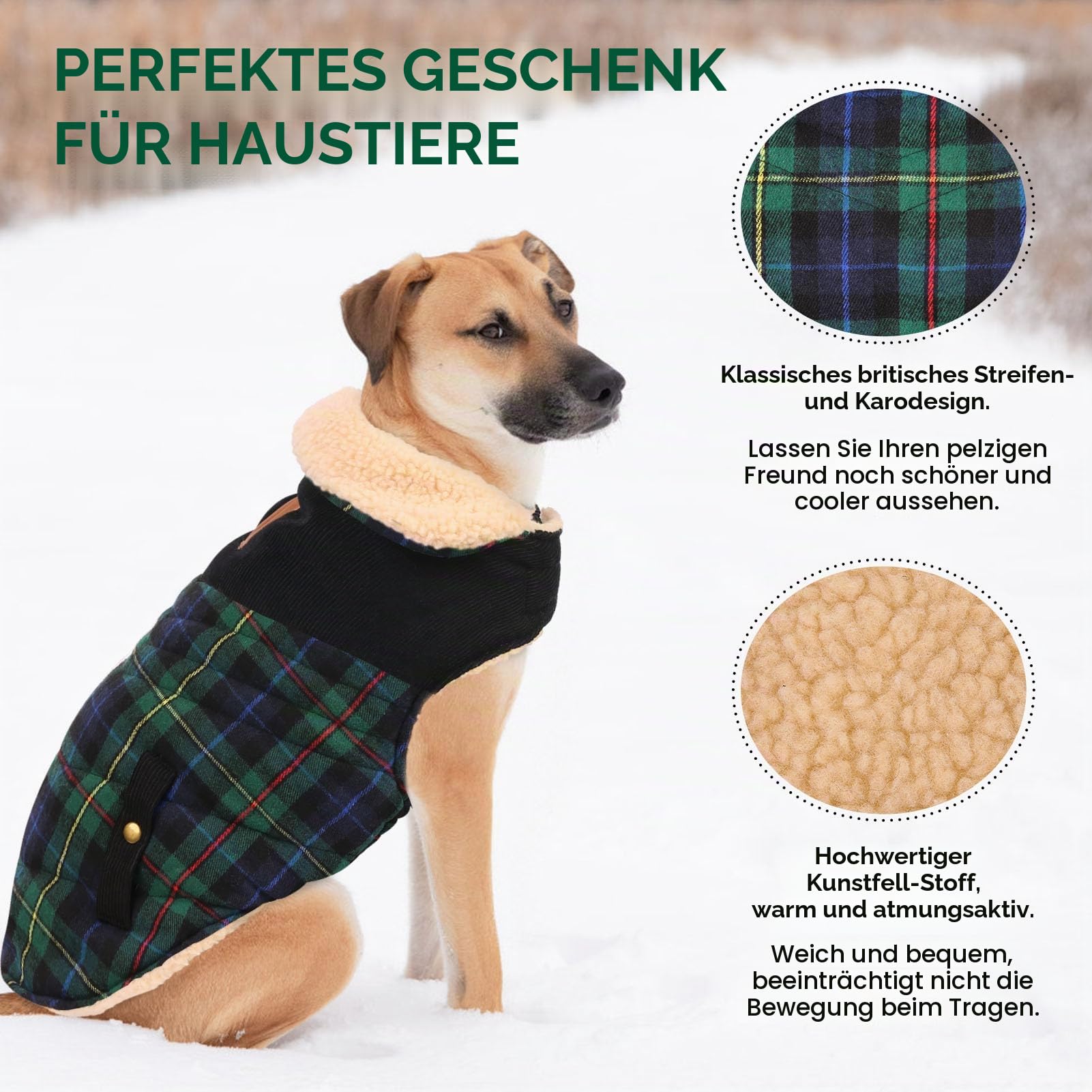 CITÉTOILE Warme Hundemantel Fleece mit Geschirrloch Grün M | Windschutz Hundejacke für Kleine/Große/Mittlere Hunde, Hundekleidung mit Bauchschutz für Outdoor & Indoor