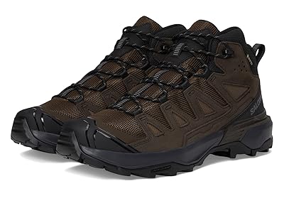 Salomon X Ultra LTR Mid GTX Men