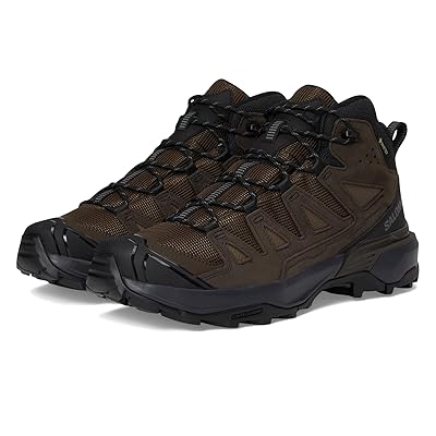 Salomon X Ultra LTR Mid GTX Men