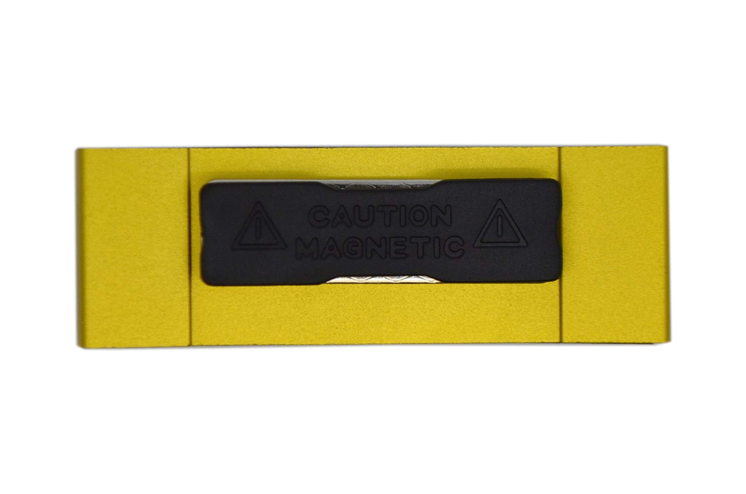 50 STÜCK edles Aluminium Namensschilder mit starkem Magnet Doppelmagnet silber eloxiert professionelle Qualität, modisch gewölbt ca. 70x25mm mit Papiereinschub (gold)