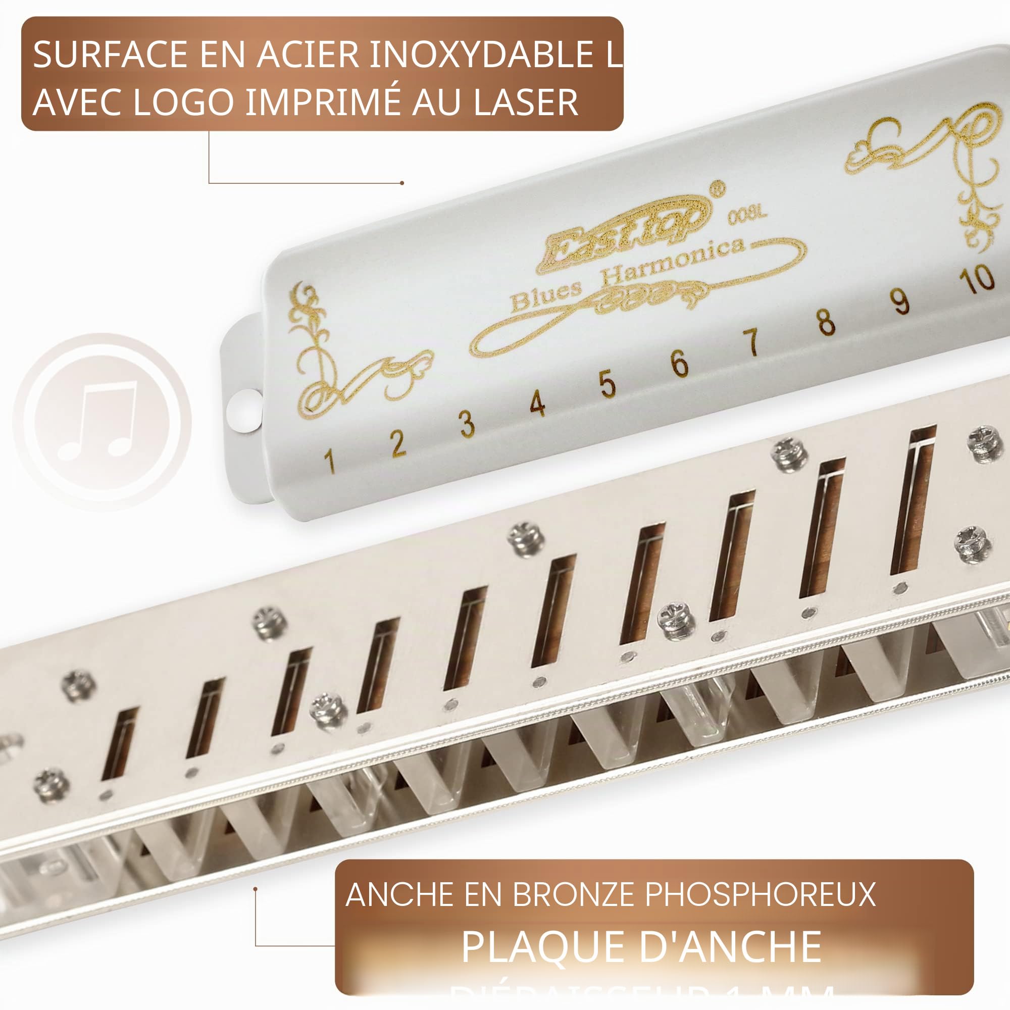 East top Harmonica Adulte Diatonique en Do 20 tons T008L avec Couverture Blanc, Harmonica Blues Diatonique en do, harmonica diatonict pour Débutants et étudiants, comme meilleur cadeau