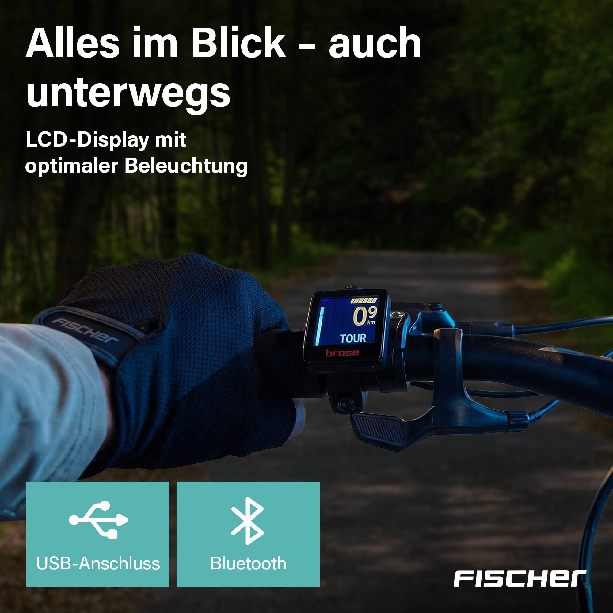 Fischer E-Bike MTB Montis 10.0i Ultimate Elektrofahrrad für Damen und Herren, RH 46, Mittelmotor 90 Nm, 36 V Akku