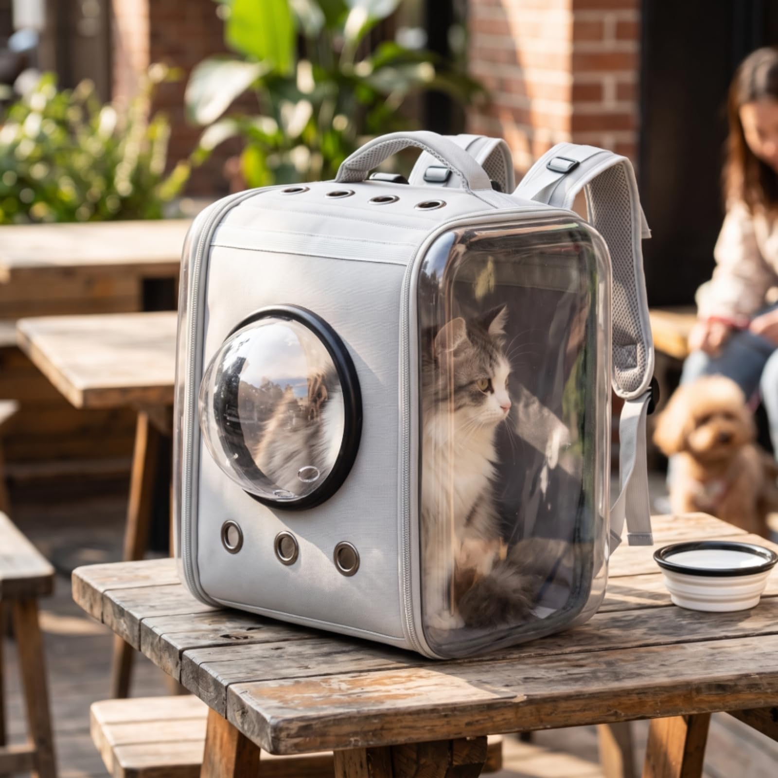 Katzenrucksack mit Fenster formstabil Katzenrucksack gepolstert Haustier-Rucksack mit Fenster für Katzenbesitzer, Gelb