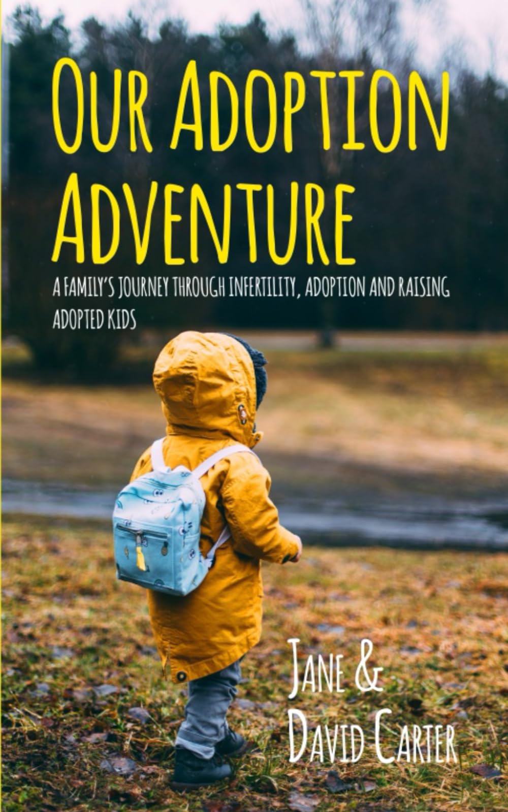 Our Adoption Adventure: A Family’s Journey Through Infertility, Adoption, and Raising Adopted Kids