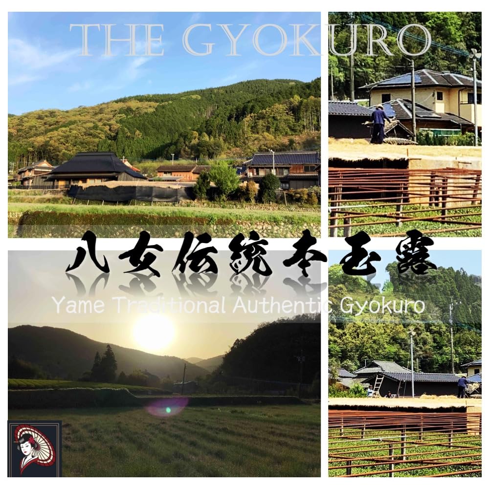 The Gyokuro Ultimate Superior Luxury Gyokuro green tea called Yame Traditional Authentic Gyokuro Carefully selected Direct trade by — view 7