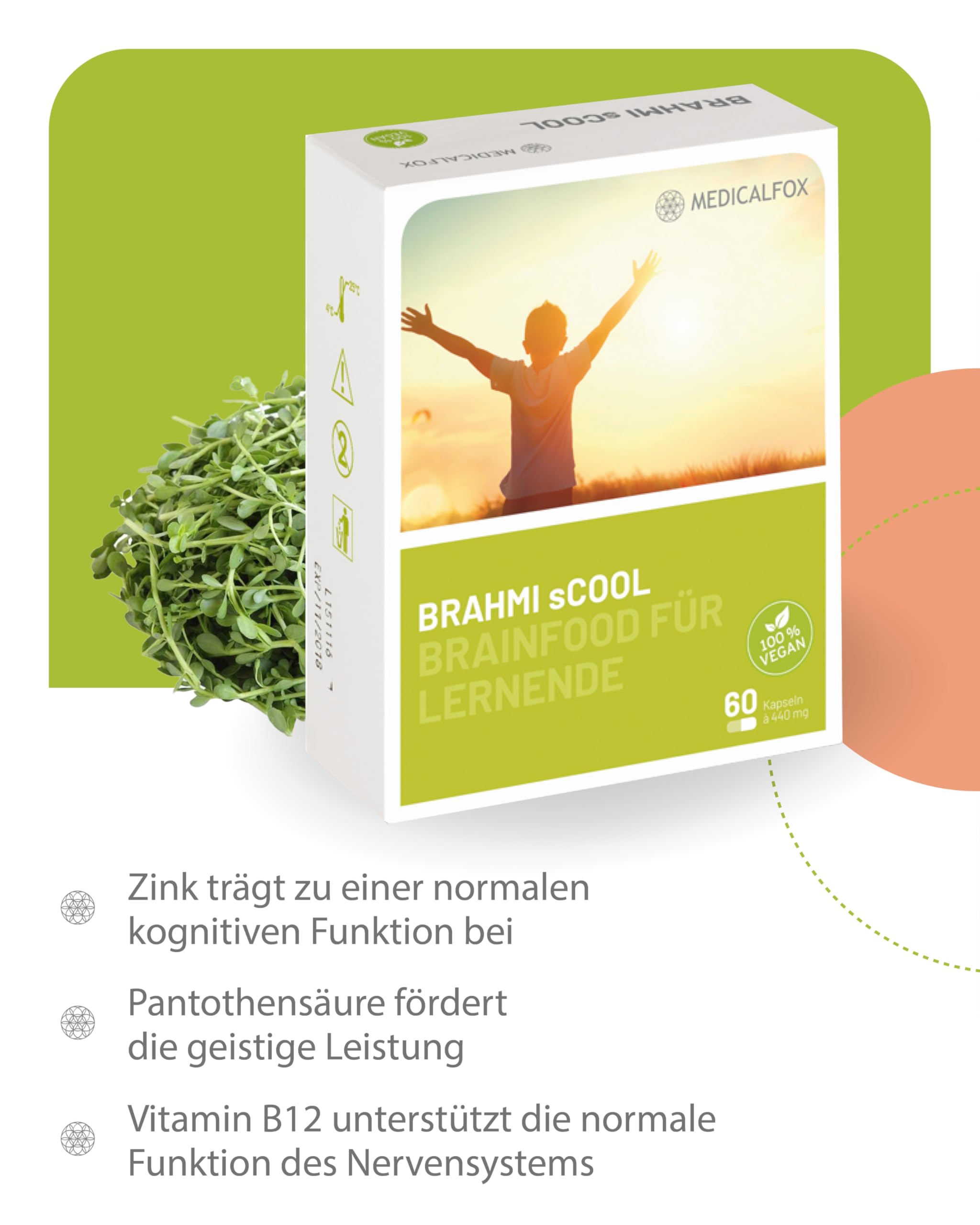 BRAHMI sCOOL Konzentrations- & Gehirn Kapseln zum Lernen 60 Stk. vegan - Mit Vitamin B5 Pantothensäure für normale geistige Leistung, Mit Brahmi, Ginkgo, Gojibeere & Zink, Vitamin C & D