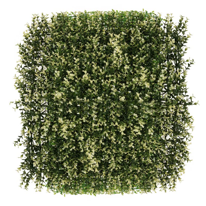 Golden Cart Artificial Wall Grass for Home Decoration (14 Pcs) I Grass Mat for Wall I Vertical Garden Artificial Wall Plants (White and Green, 50cm X 50cm X 8cm, Pack of 14) (B09HNPC2GB) Amazon Price History, Amazon Price Tracker